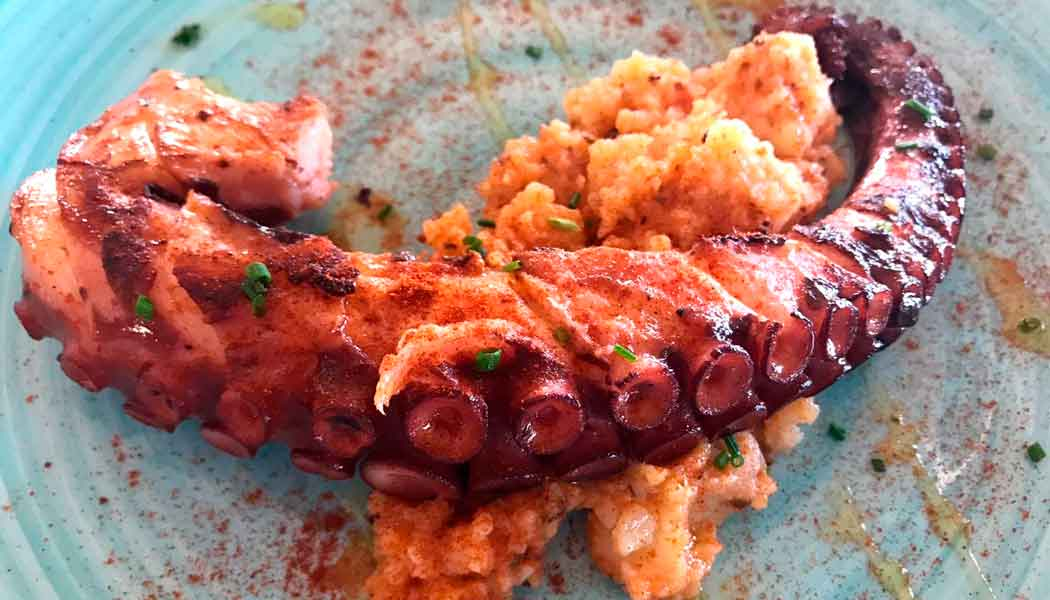 Plato de La Mirilla 2